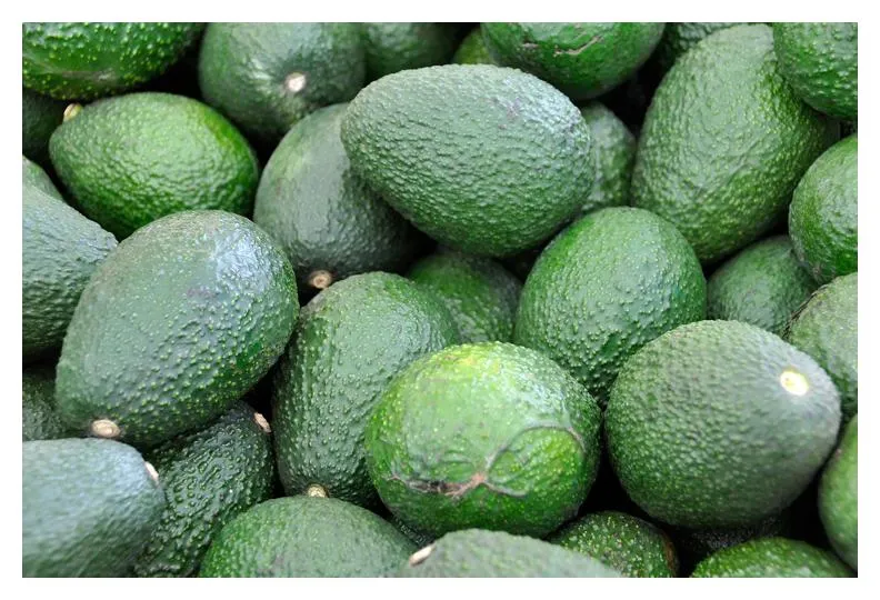 California Avocados