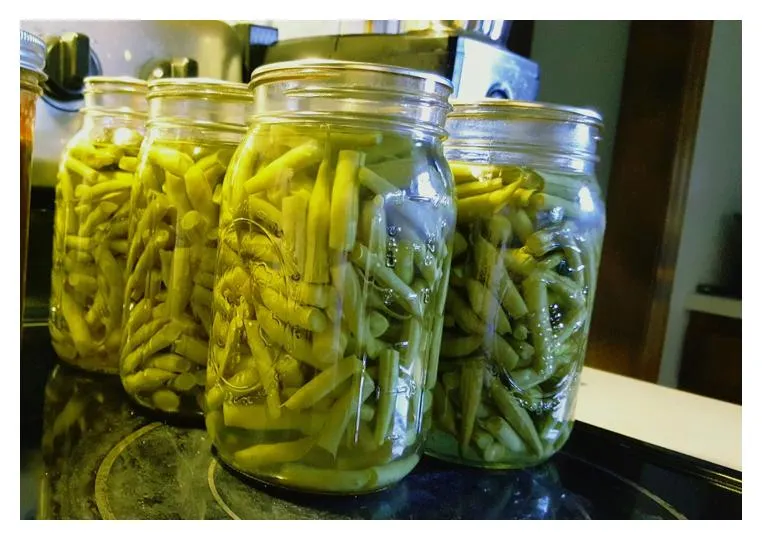 Canned Drained Green Snap Beans With Salt