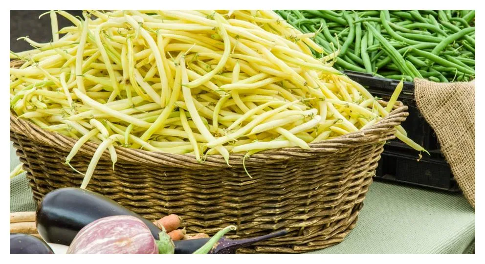 Canned Drained Yellow Snap Beans No Salt