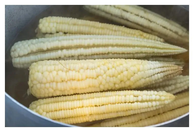 Cooked Corn (From Raw, White)