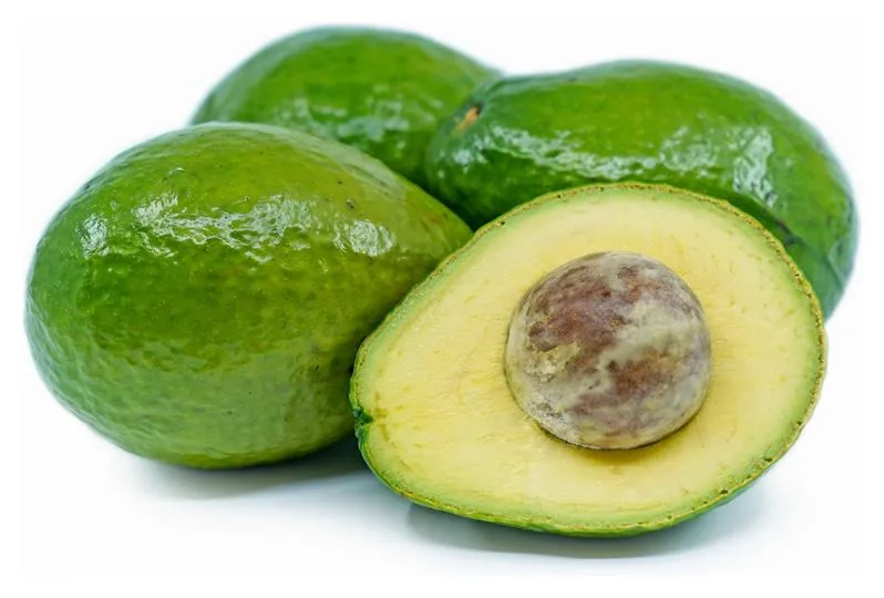 Florida Avocados