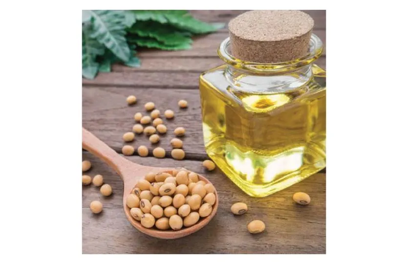 Hydrogenated Soybean-Cottonseed Oil