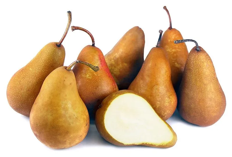 Raw Bosc Pears