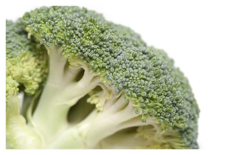 Raw Broccoli