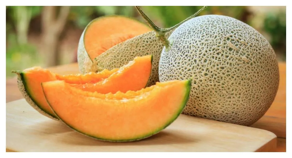 Raw Cantaloup