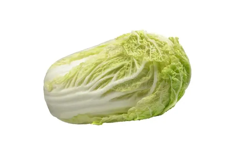 Raw Chinese Pe-Tsai Cabbage