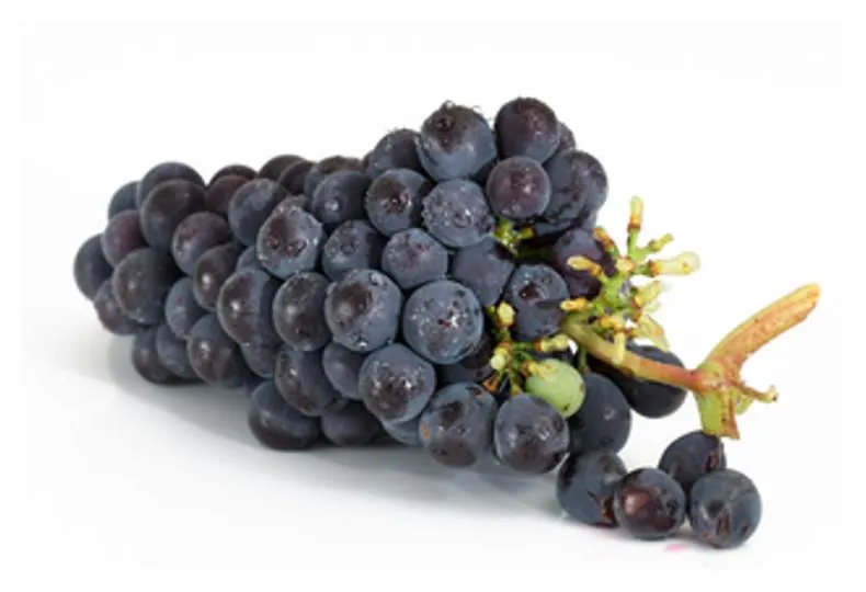 Raw European Thompson Grapes