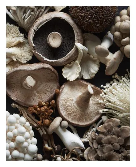 Raw Mushrooms