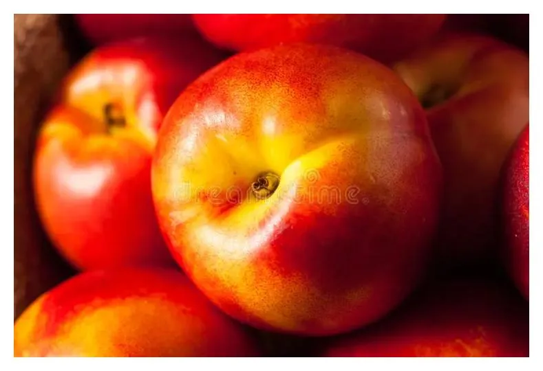 Raw Nectarines