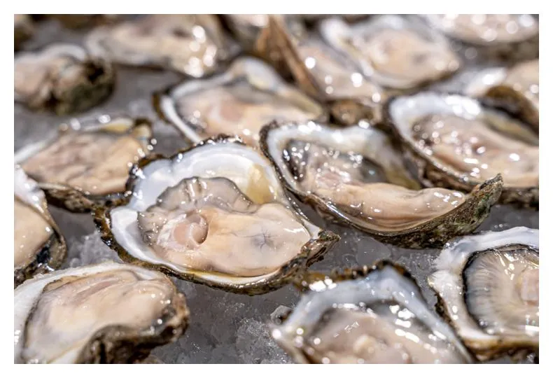 Raw Oysters