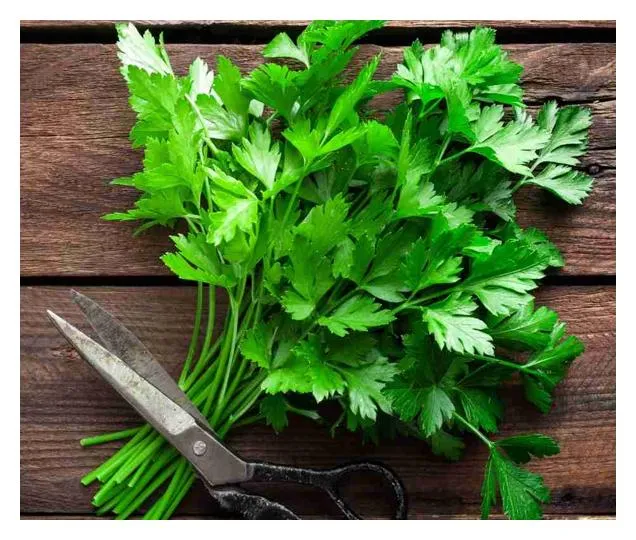 Raw Parsley