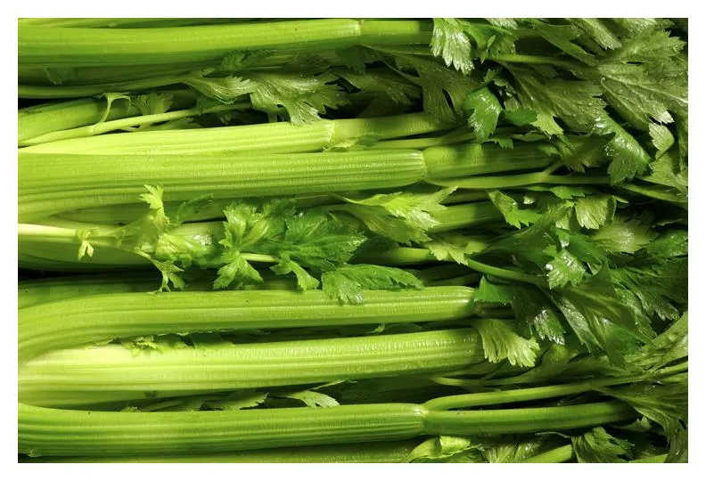 Raw Pascal Celery (Stalk)