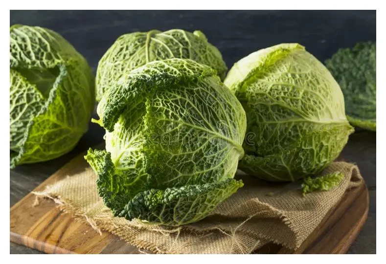 Raw Savoy Cabbage