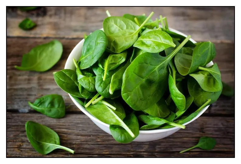 Raw Spinach