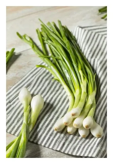 Raw Spring Onions