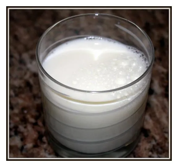 Skim Milk, With Added Milk Solids