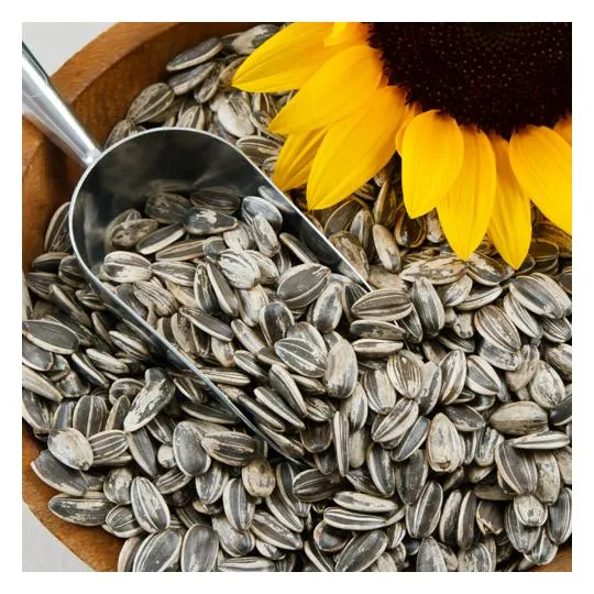 Sunflower Seeds