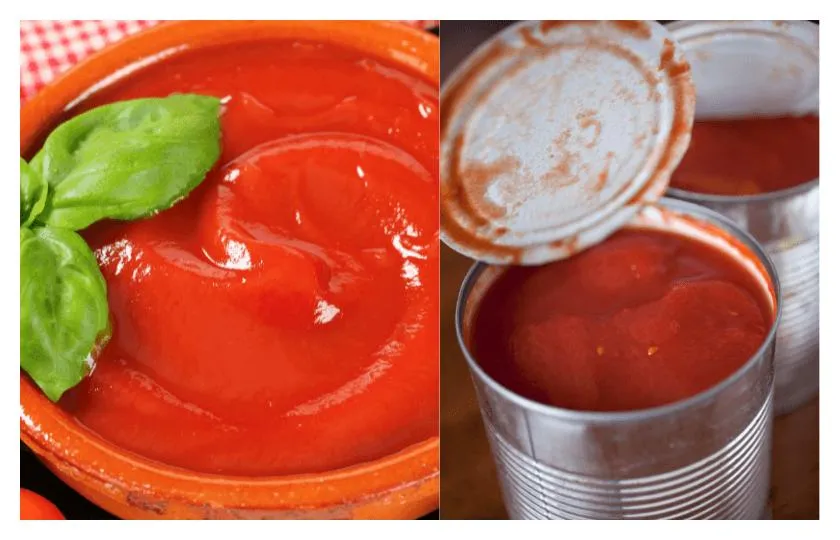 Tomato Puree, Canned with Salt