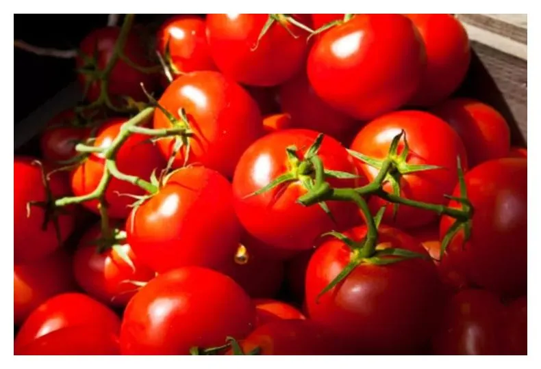 Tomatoes, Raw