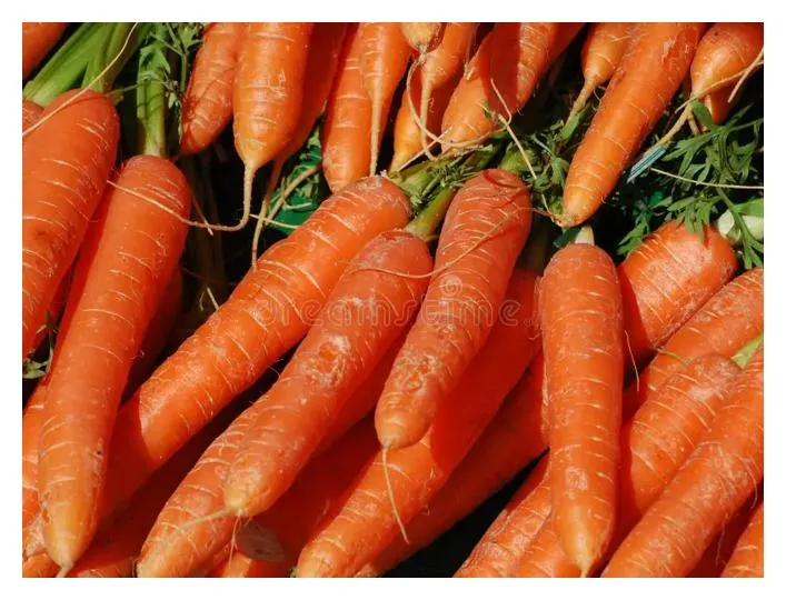 Whole Raw Carrots